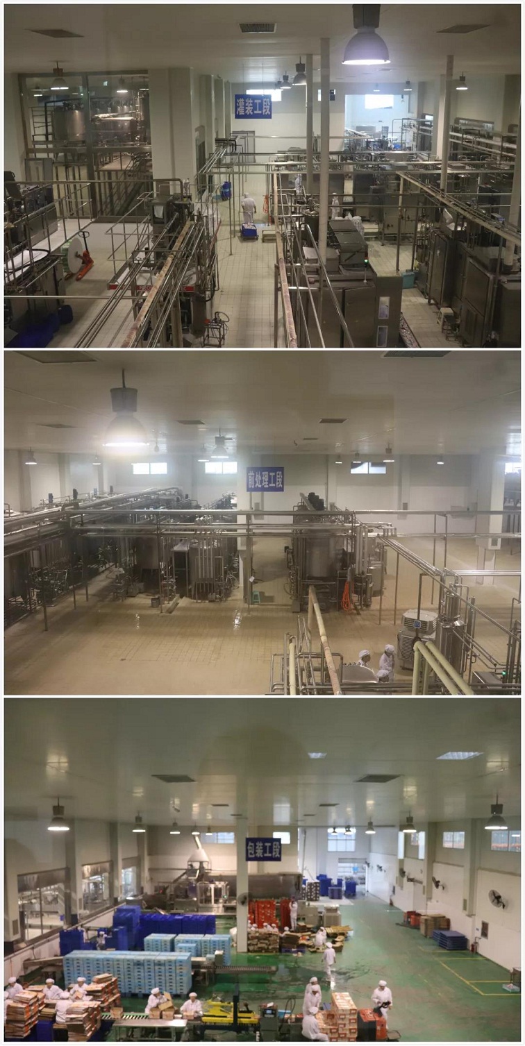 參觀南陽三色鴿工廠